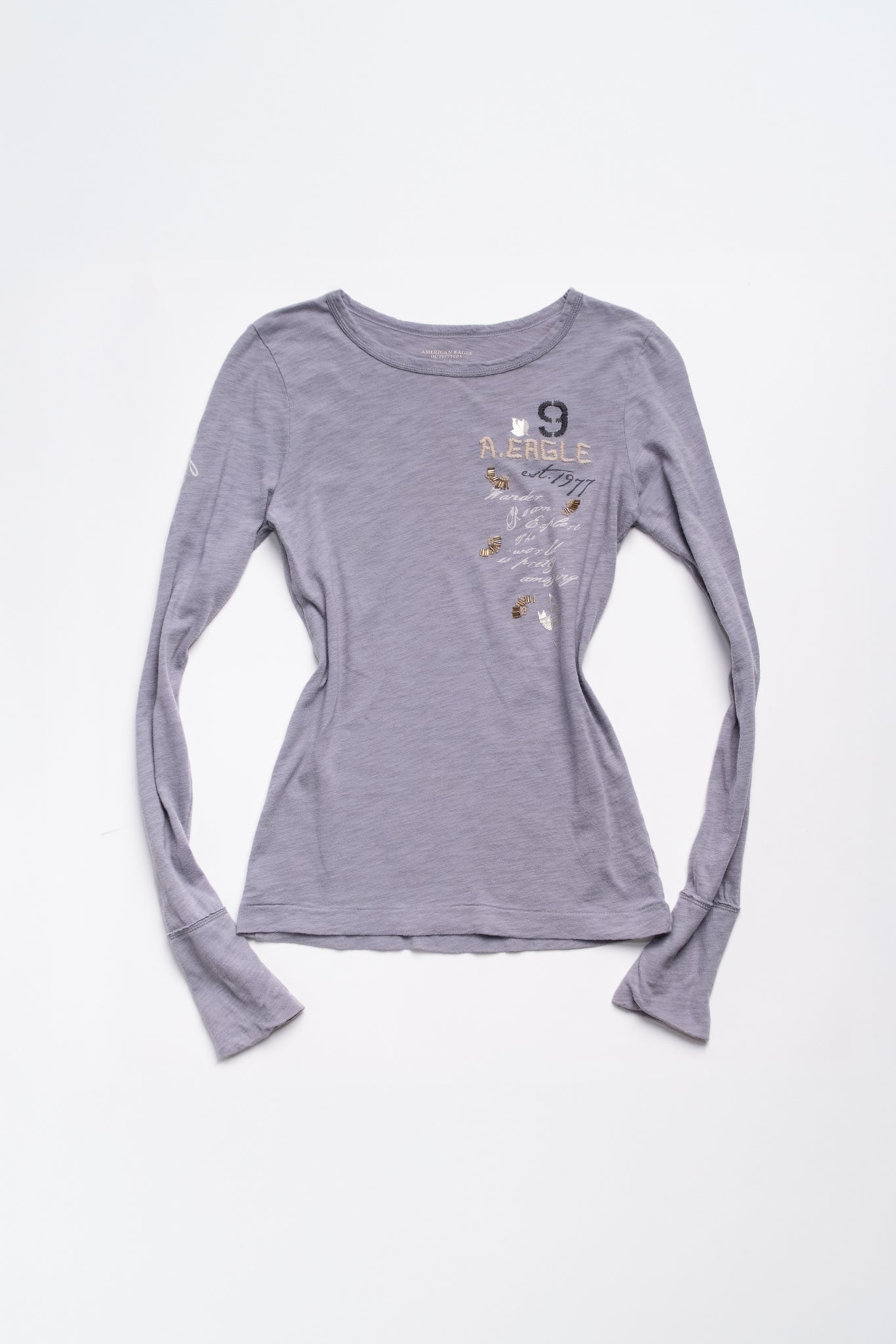 AE Embroidered 1977 Long Sleeve Tee