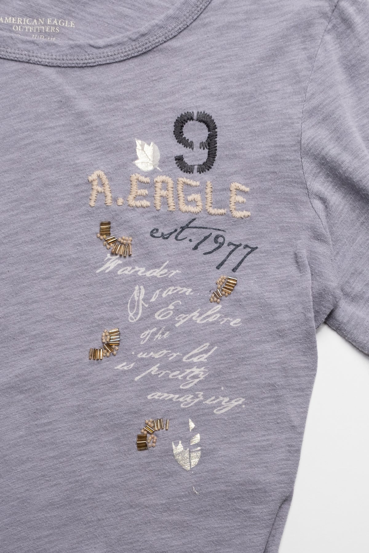 AE Embroidered 1977 Long Sleeve Tee