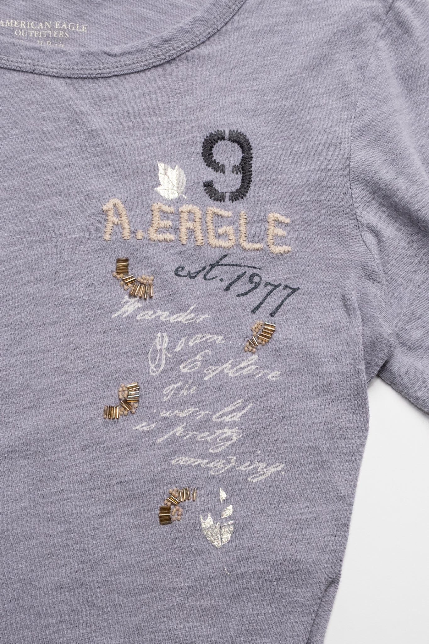 AE Embroidered 1977 Long Sleeve Tee