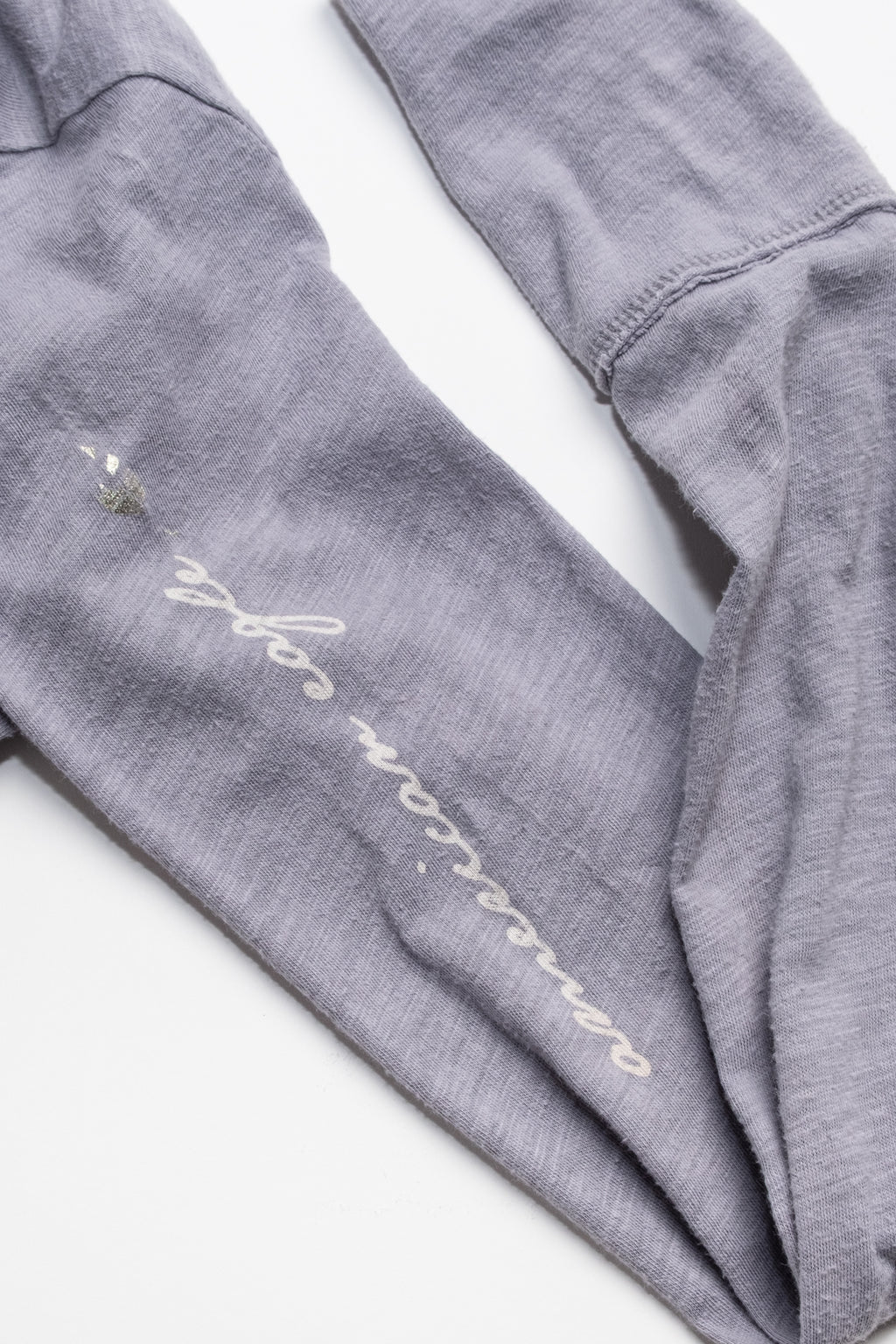 AE Embroidered 1977 Long Sleeve Tee