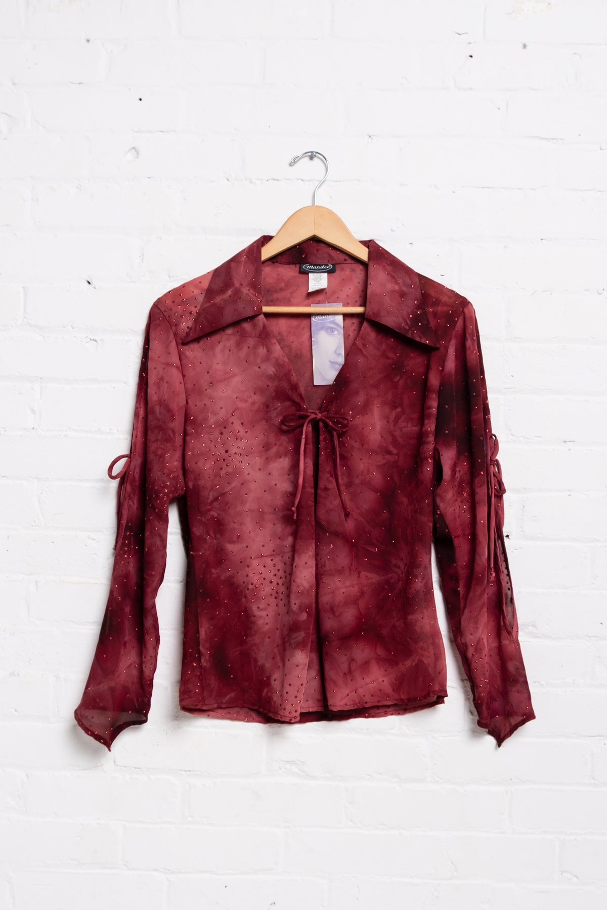 Glitter Sheer Collared Top