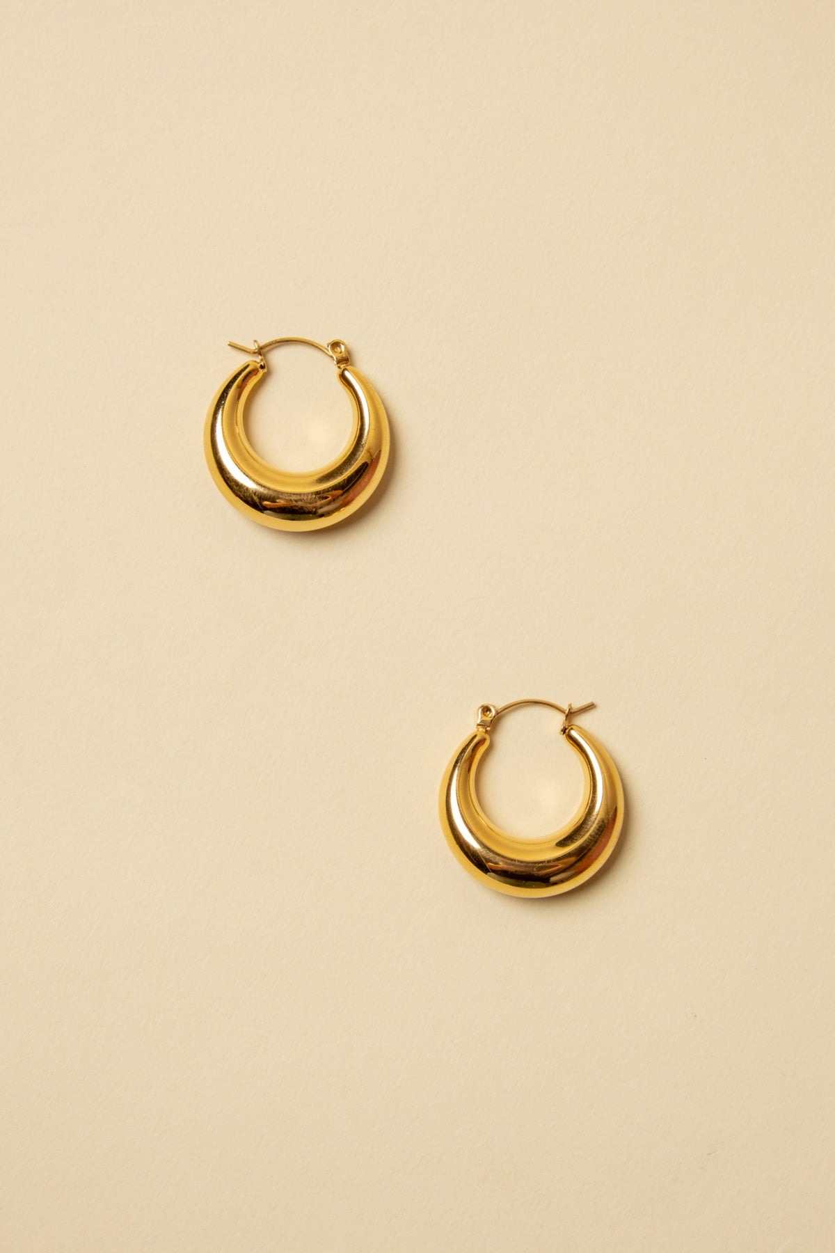 Delilah Hinge Hoops