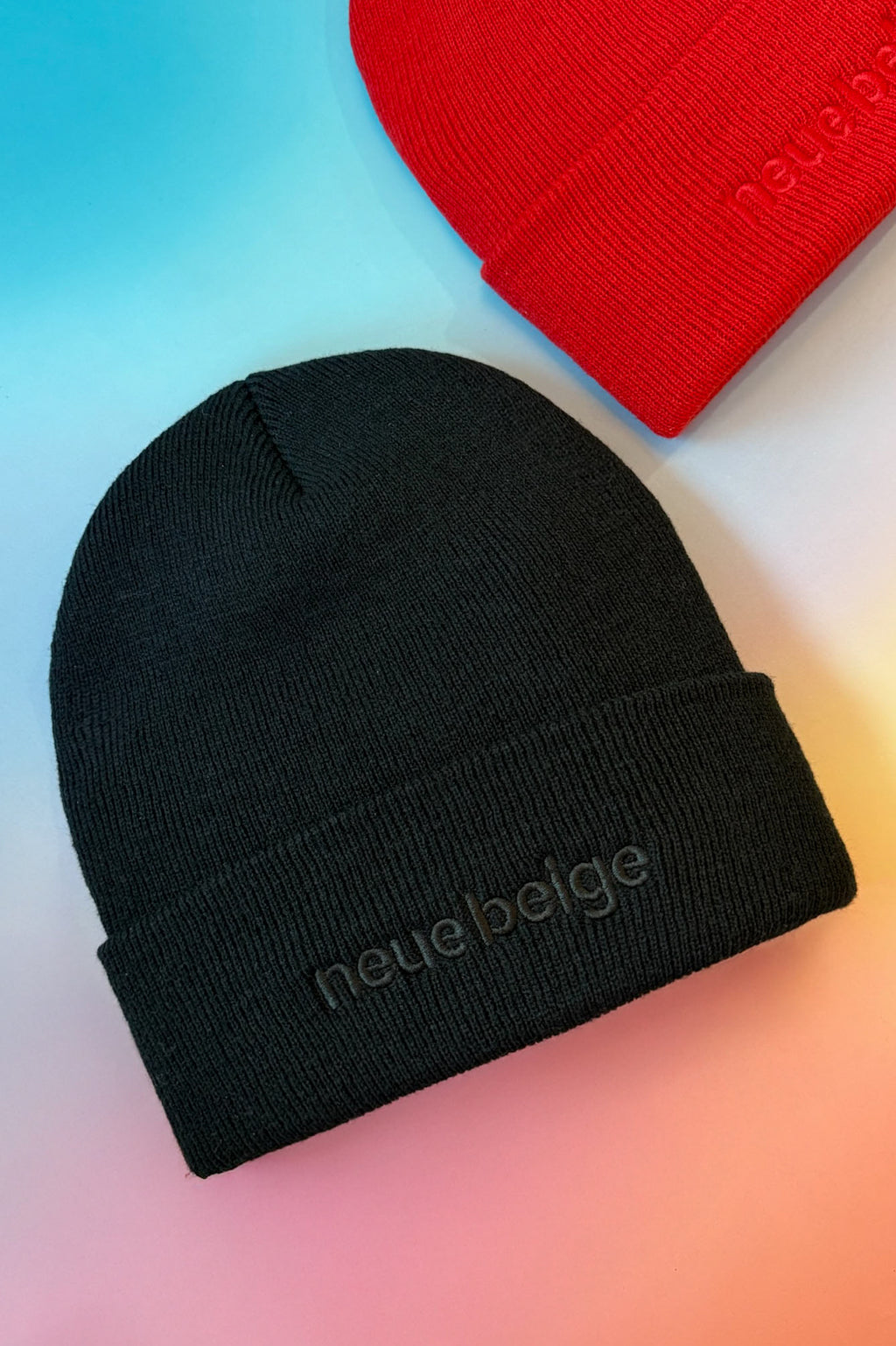 Neue Beige Embroidered Beanie
