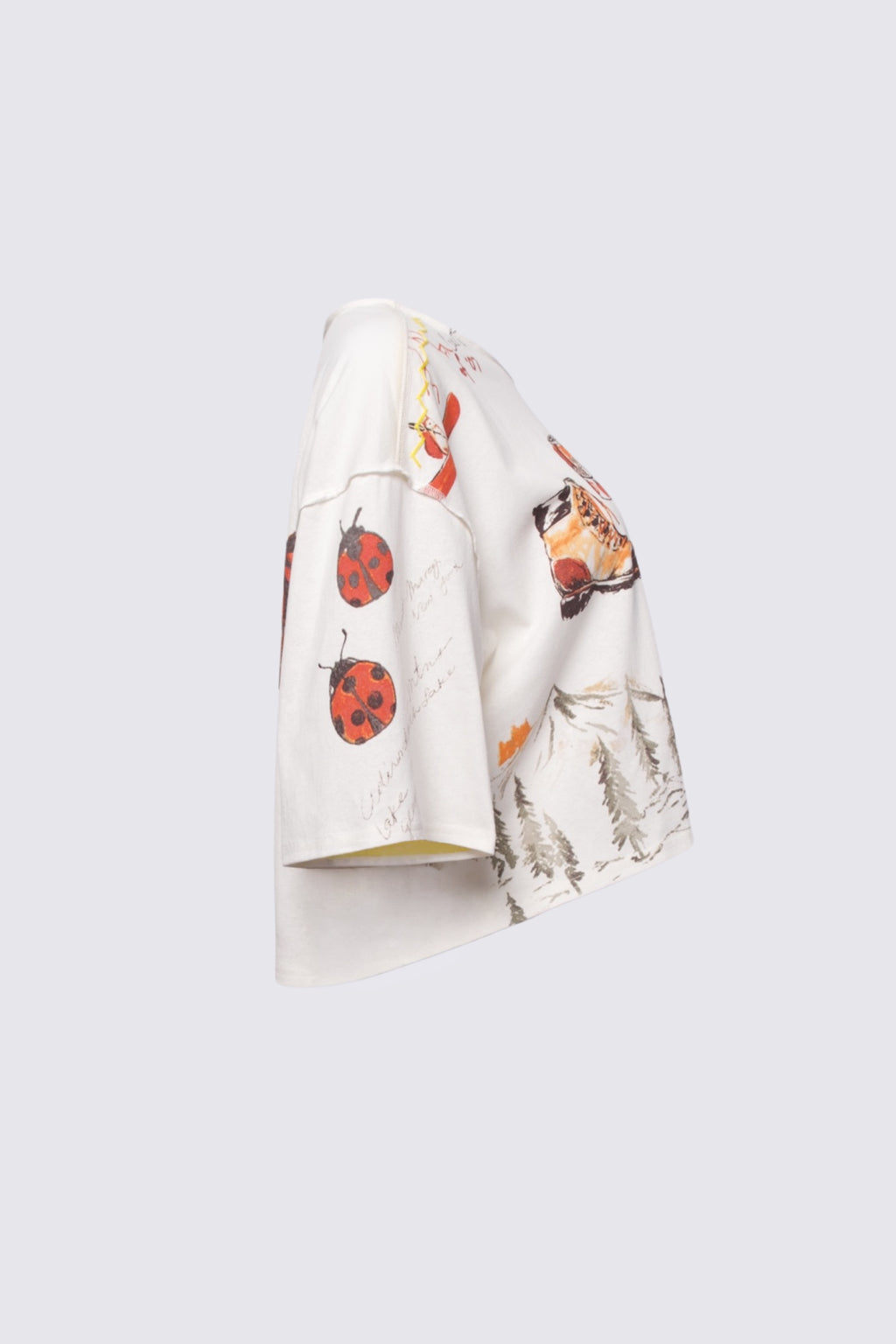 Free People Mountain View Graphic Tee