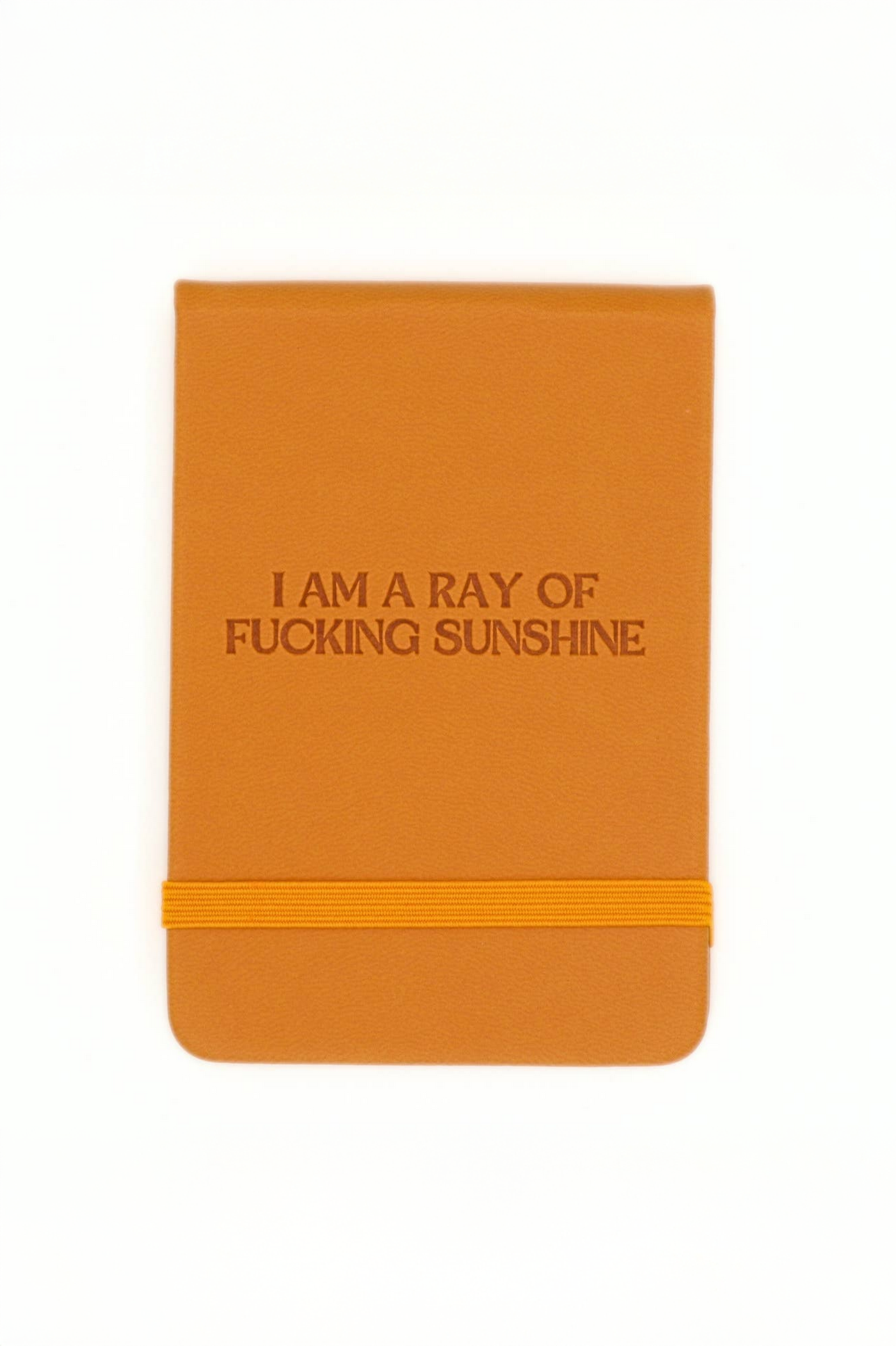 Properly Improper Pocket Journal